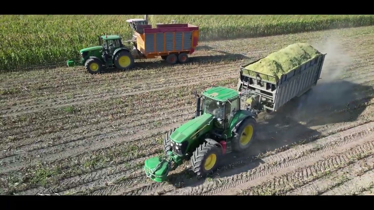 KUKURYDZA NA KISZONKĘ 2023 🌽 USŁUGI ROLNICZE ✔️ CLAAS JAGUAR 950, 4X ZESTAWY 🔥 KOLIZJA i ROWER W QQ