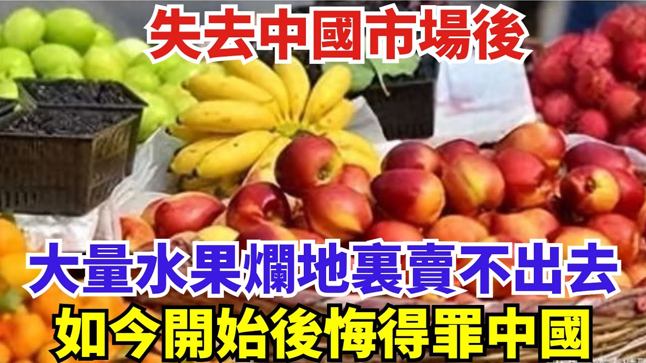 失去中國市場後，大量水果爛地裏賣不出去，如今開始後悔得罪中國#世界強國#沙漠#高鐵#訂單#工程#基建