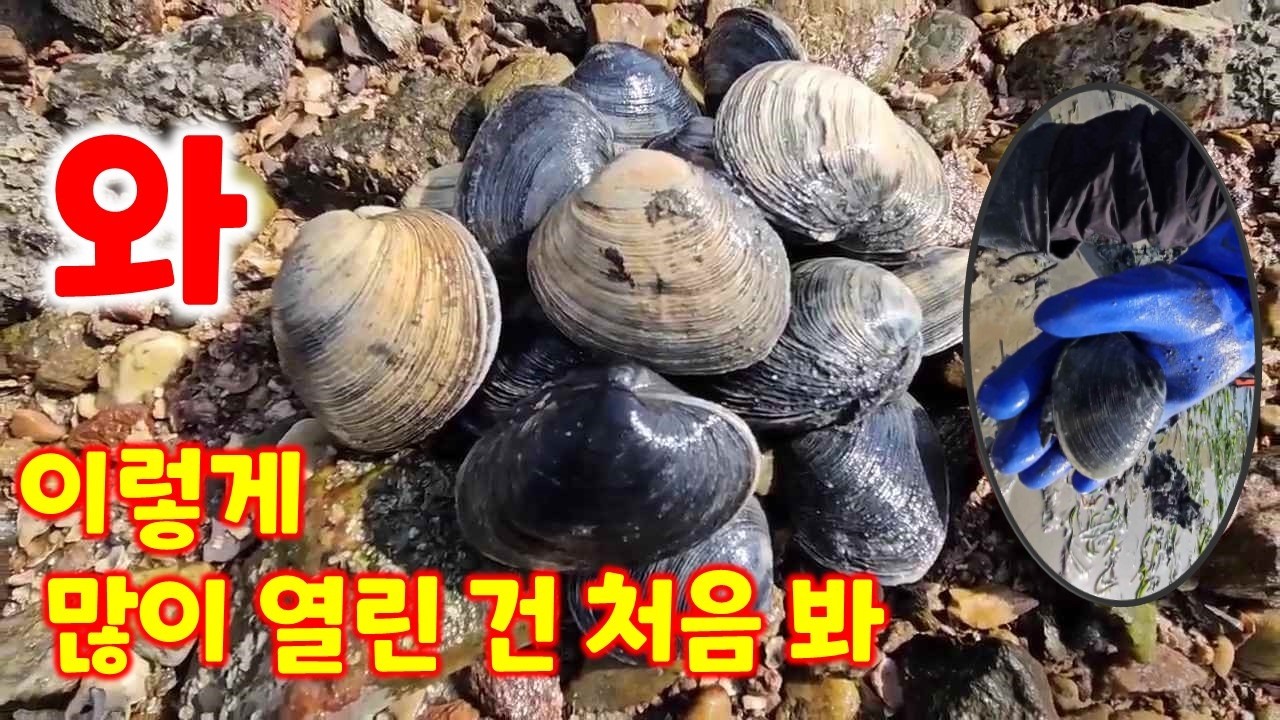 와 이렇게 많이 열린 건 처음 봐