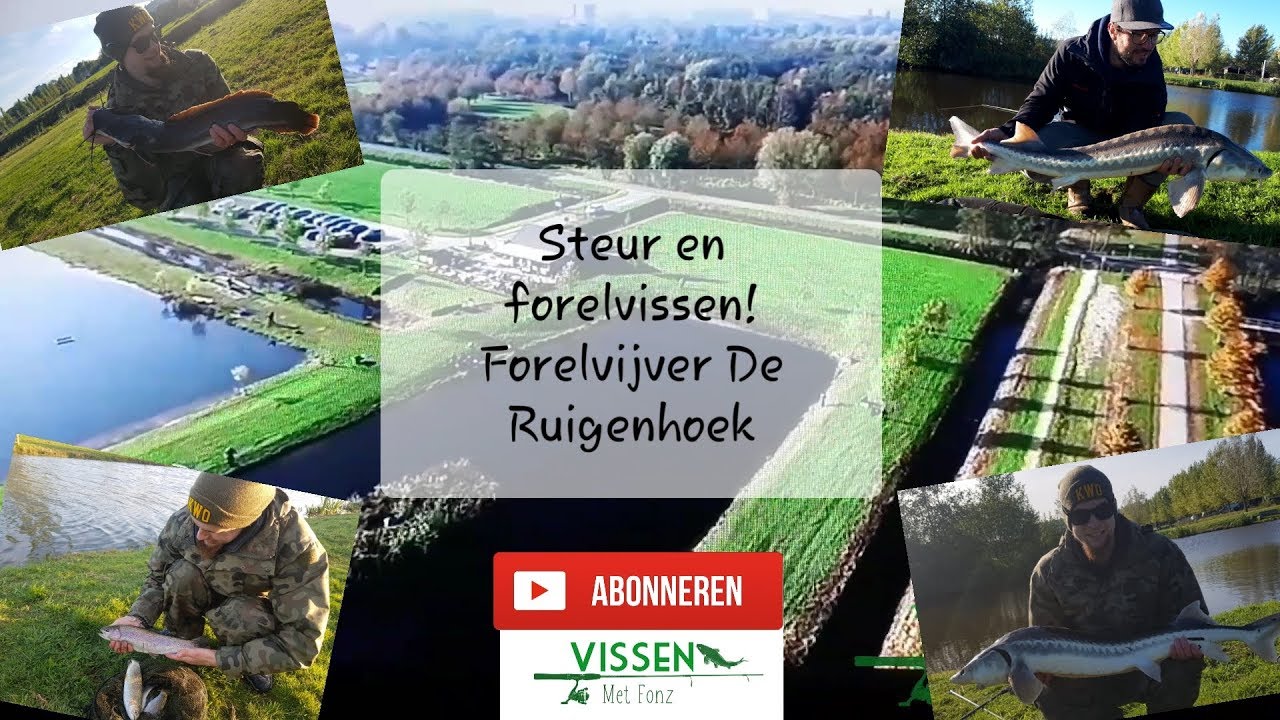 Steur en forel vissen !!!forelvijver De Ruigenhoek!!!
