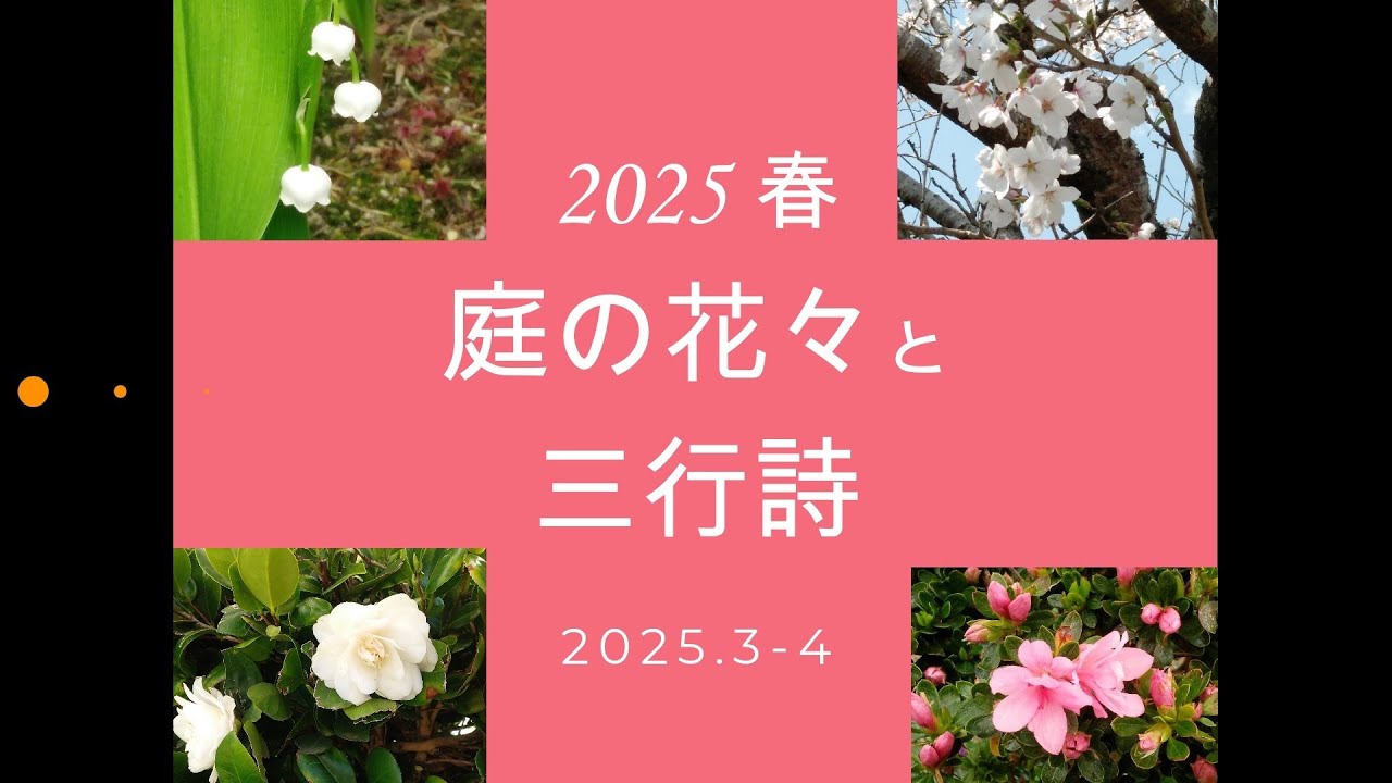 庭の花々と三行詩 2025春 2025.4.