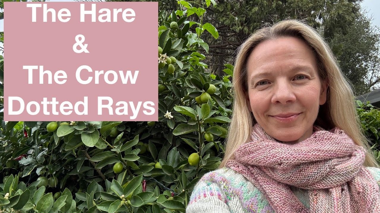 The Hare & The Crow Dotted Rays + Mexico Cruise - Mostly Knitting Podcast