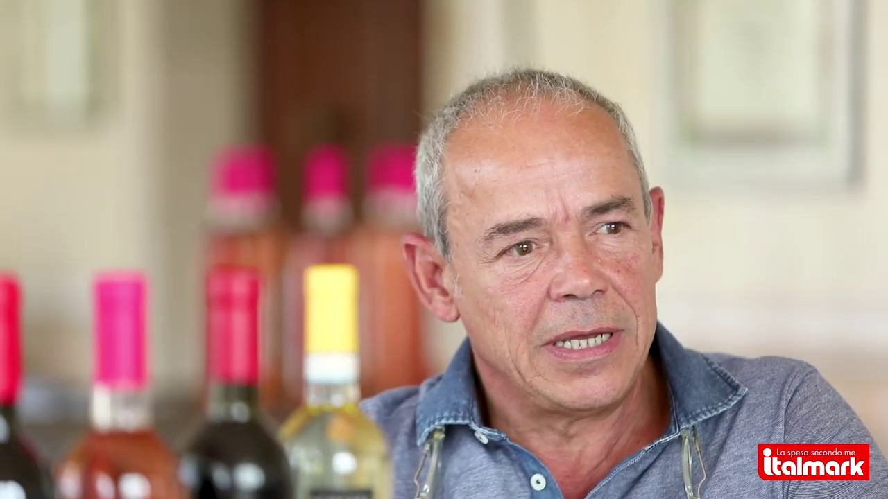 Italmark - Produttori Locali - Azienda vinicola Cantine Scolari