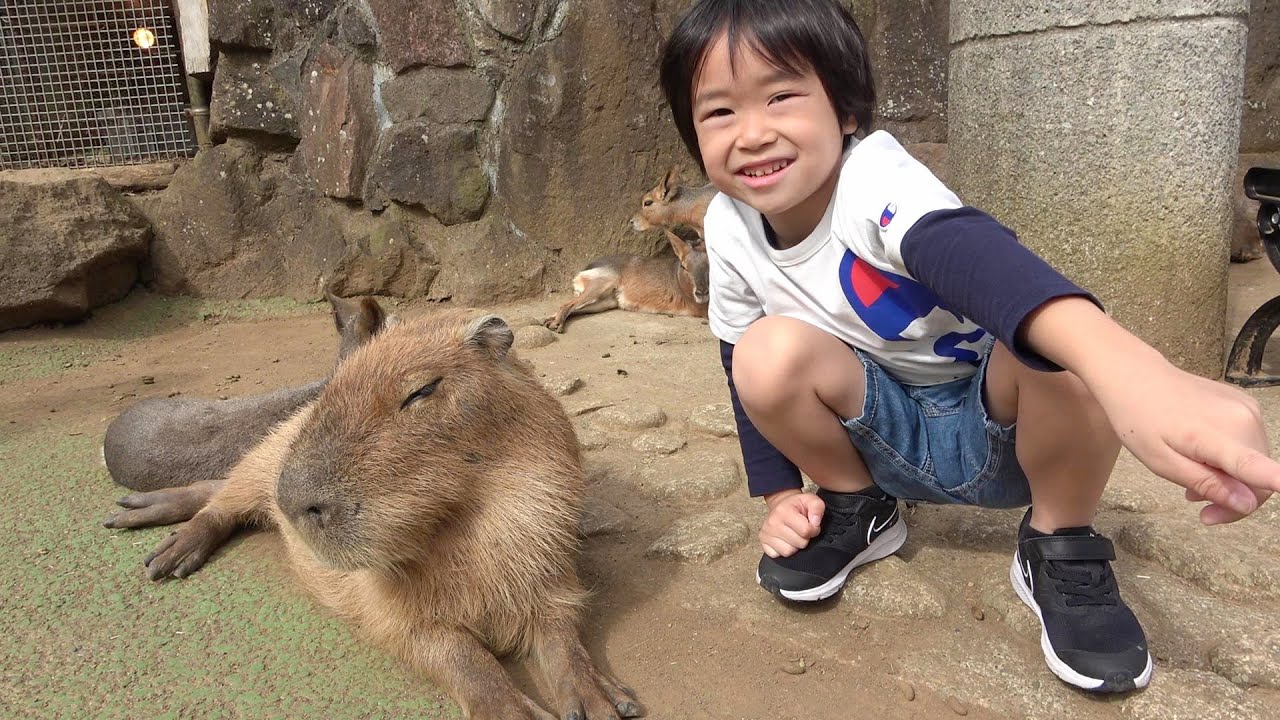 おでかけ 伊豆シャボテン動物公園にいったよ！どうぶつにエサをあげよう！ レオスマイル