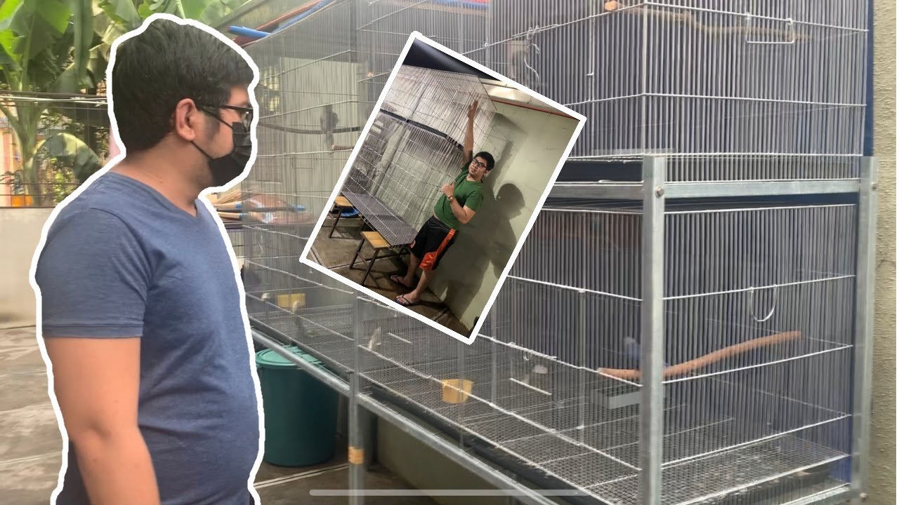 NEW COLONY / FLIGHT CAGE | AVIARY UPGRADE | 27th VLOG