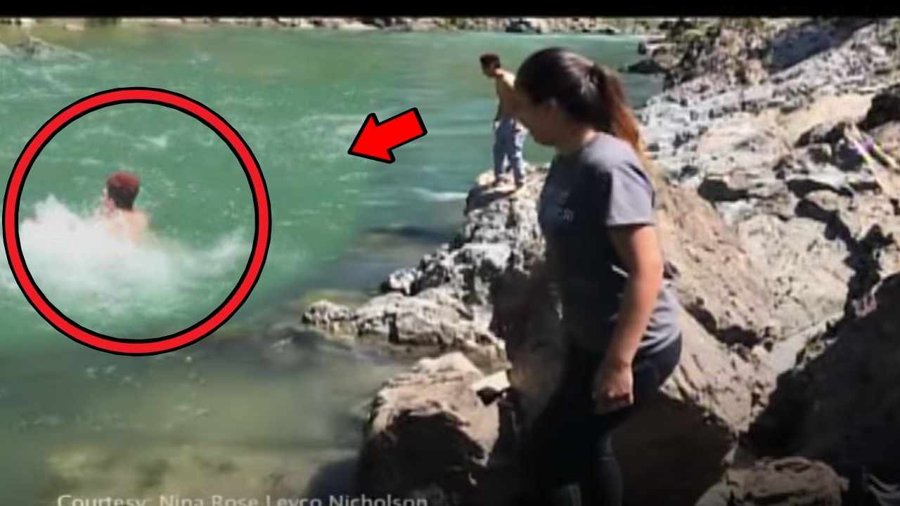 MUERTES POR NATURALEZA CAPTADAS EN VIDEO