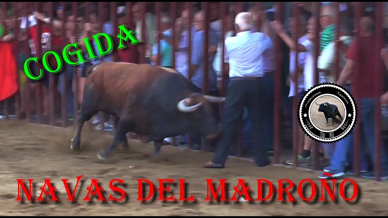 COGIDA NAVAS DEL MADROÑO SABADO 12-08-2017