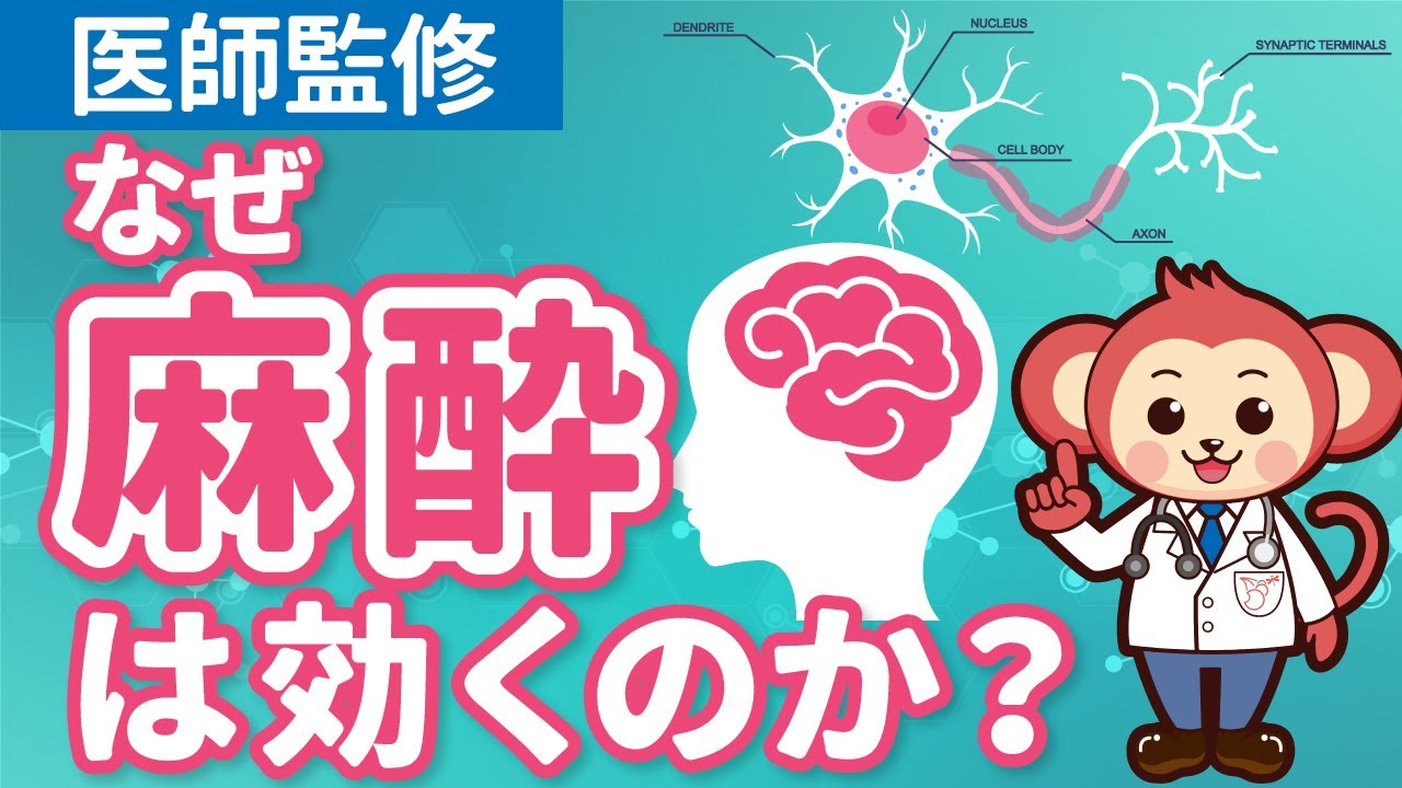 麻酔が効く仕組みを医師監修アニメーションで解説