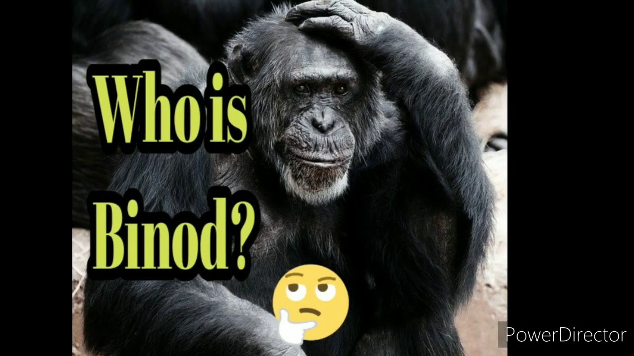 Who is 
