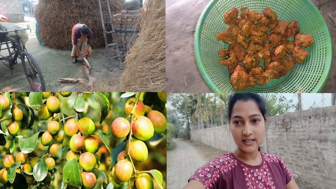 সুন্দরবনের প্রত্যন্ত গ্রামে লাউয়ের পকোড়া তৈরি করলাম।/পাড়ায় গিয়ে কুল খেয়ে আসলাম‎🧿