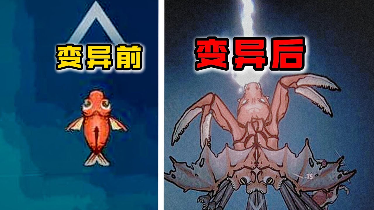 异变之海：我进化成为了海洋霸主！
