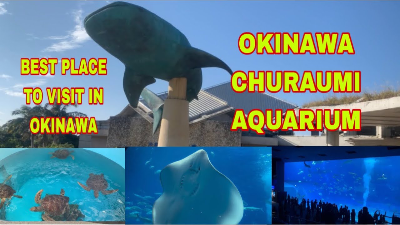 OKINAWA CHURAUMI AQUARIUM! BATA MATANDA MAG EENJOY DITO! OCEAN EXPO PARK!