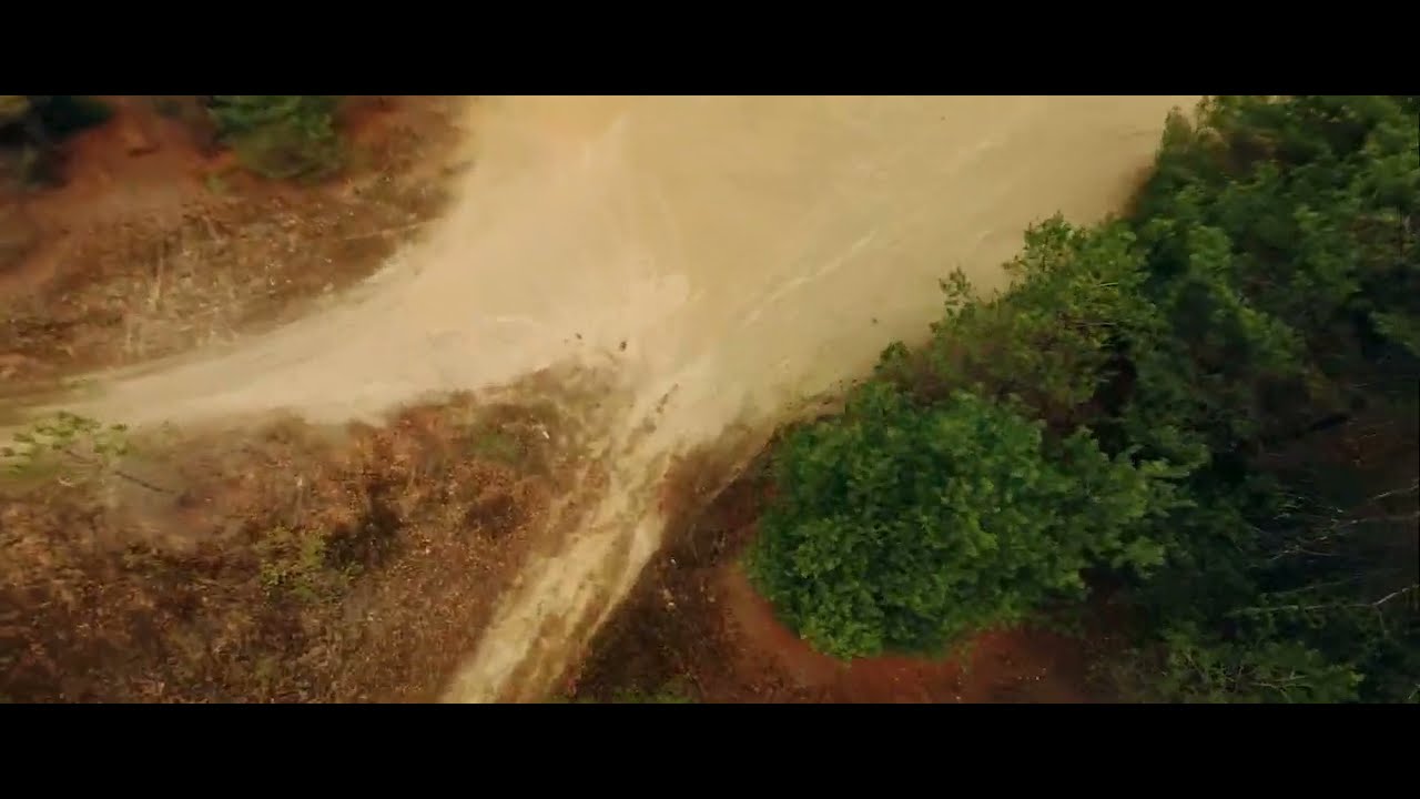 tree surfing cinematic ( shot on runcam thumb 2 )