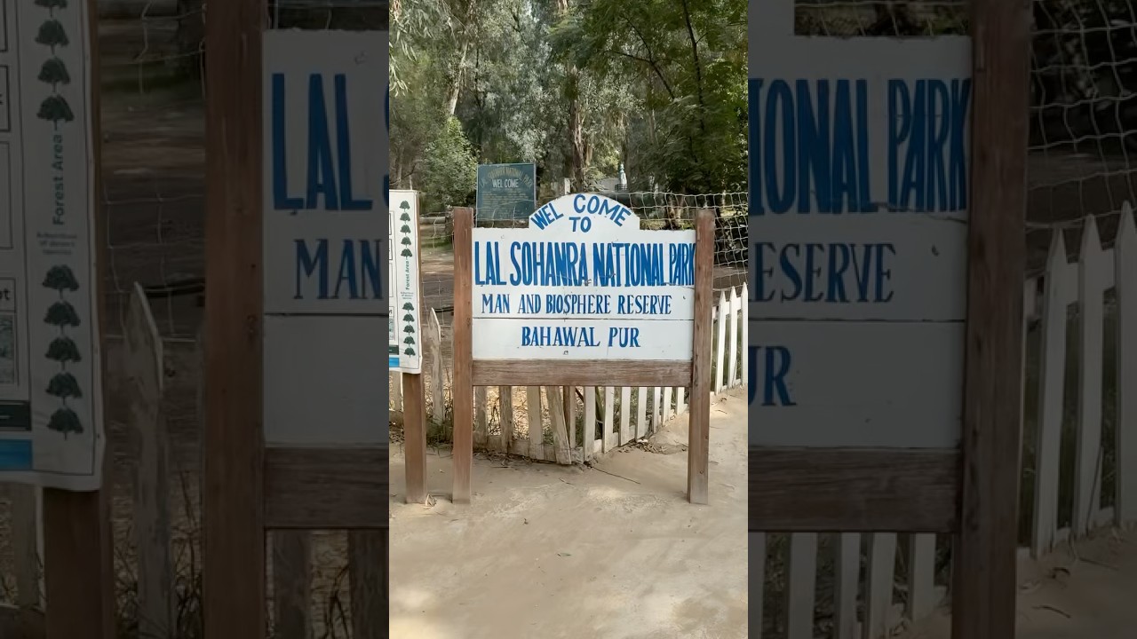 Lal Suhanra National Park Bahawalpur #park#pakistan #bahawalpur #beautiful #love #fyp #youtubeshorts