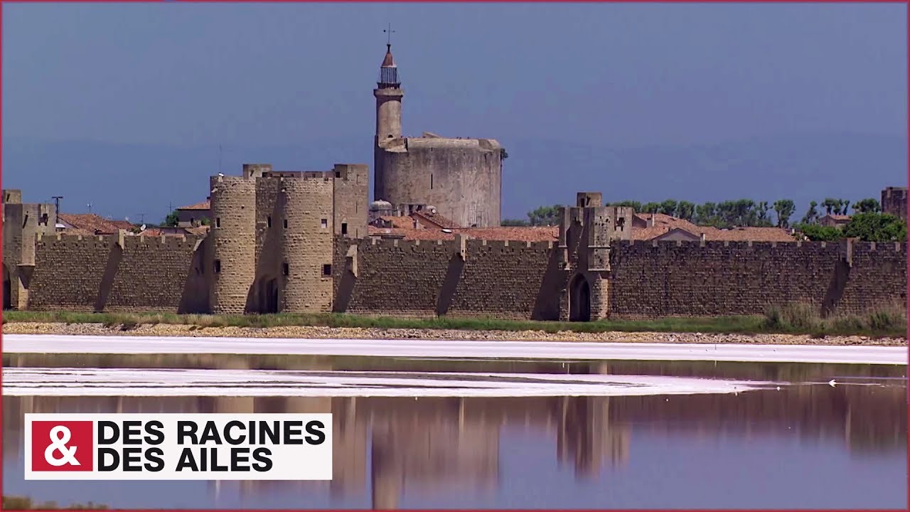 Saint Louis et les remparts d'Aigues-Mortes