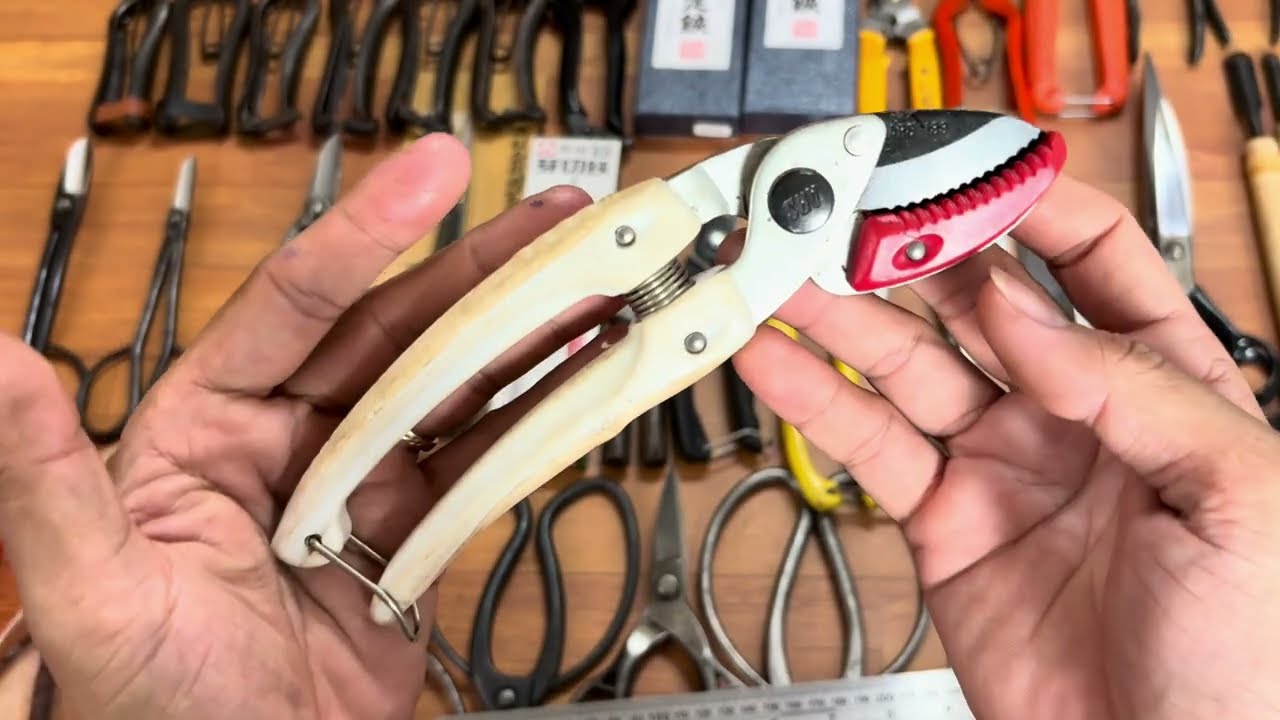 Clip 162 Dụng cụ Bonsai bãi Nhật, kéo cắt cành, hàng bãi Nhật #0376628645 #dungcubonsai #hàngnhậtbãi