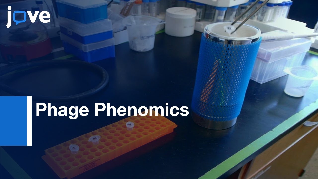Phage Phenomics: Characterization of Novel Viral Proteins | Protocol Preview