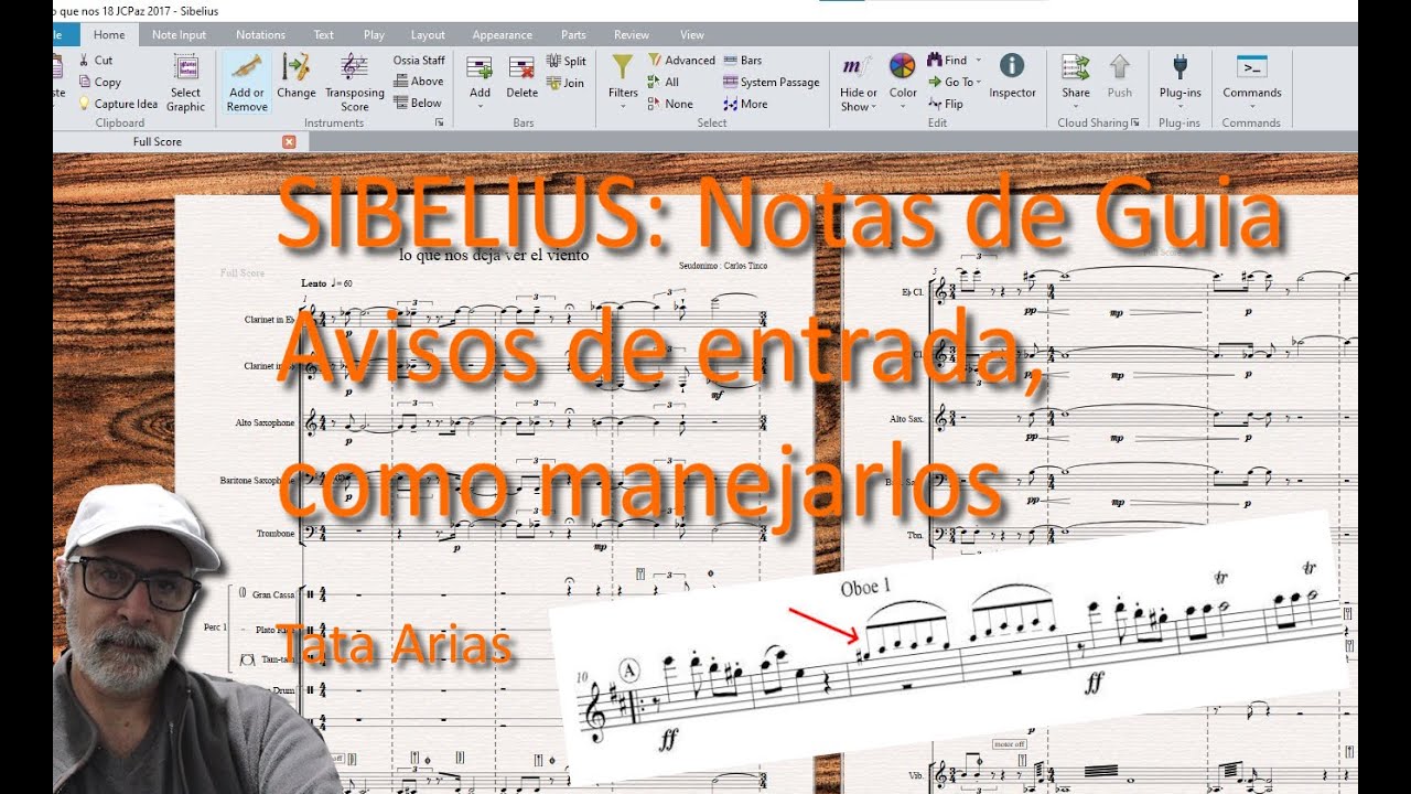 SIBELIUS: Avisos de entrada (notas de guia) grace notes