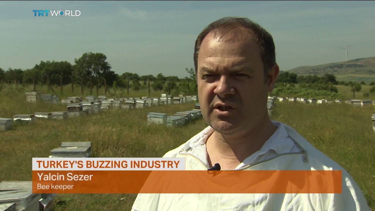 Money Talks: Turkey&rsquo;s buzzing industry