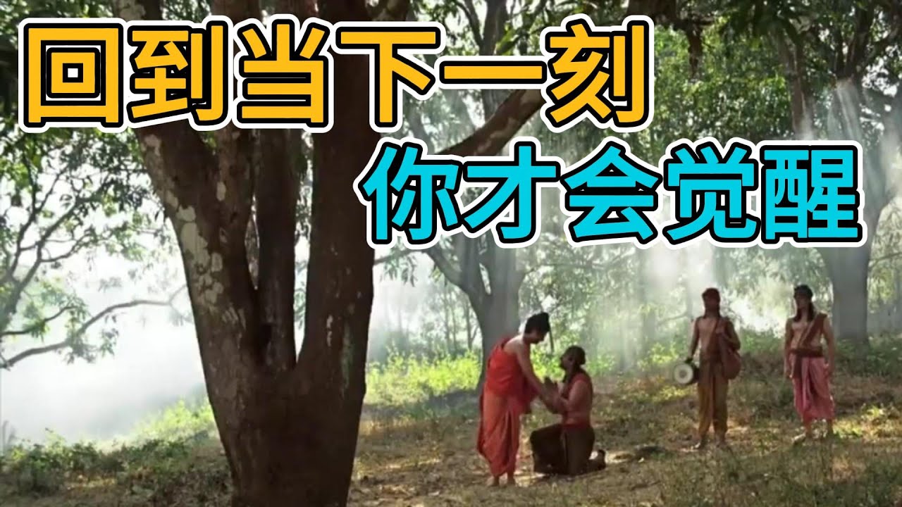 回归当下这一刻，你才会觉醒！佛陀度化追赶女骗子的几个年轻人 【显密法缘】 【显密法缘】