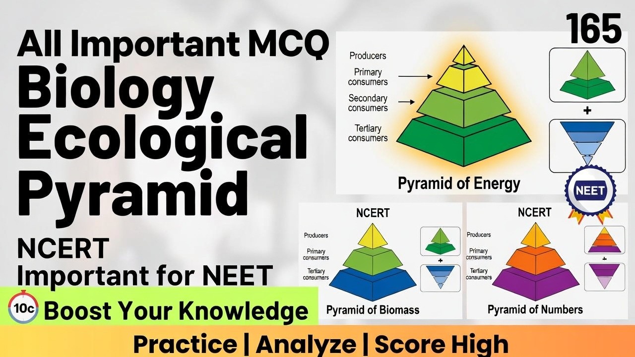 Ecological Pyramid | Important MCQs | NCERT | Class 12 Biology