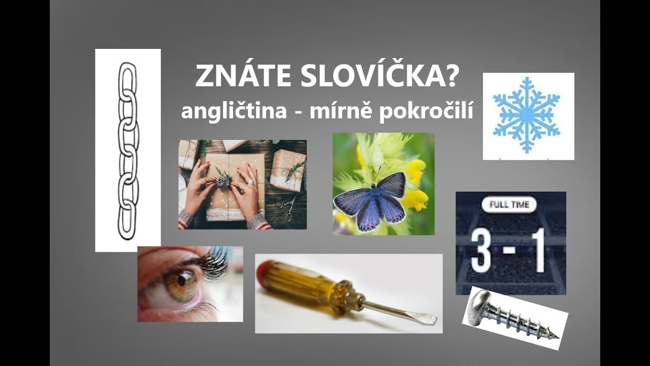 ANGLIČTINA - MÍRNĚ POKROČILÍ - Znáte slovíčka? Umíte je použít ve větách? cvičení