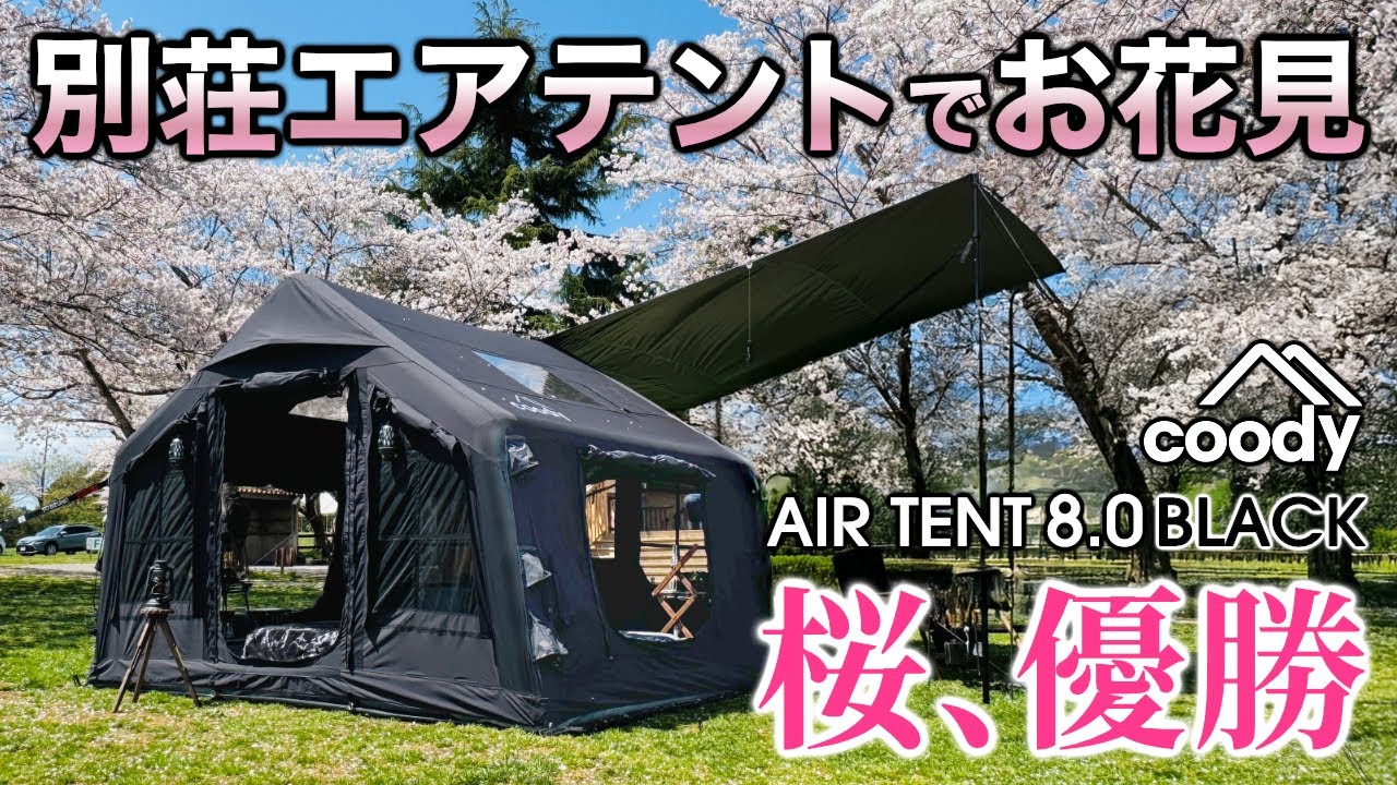 満開の桜に囲まれエアーテントでお花見キャンプ【coody エアテント8.0+タープ 成田ゆめ牧場】オススメお花見スポットも！