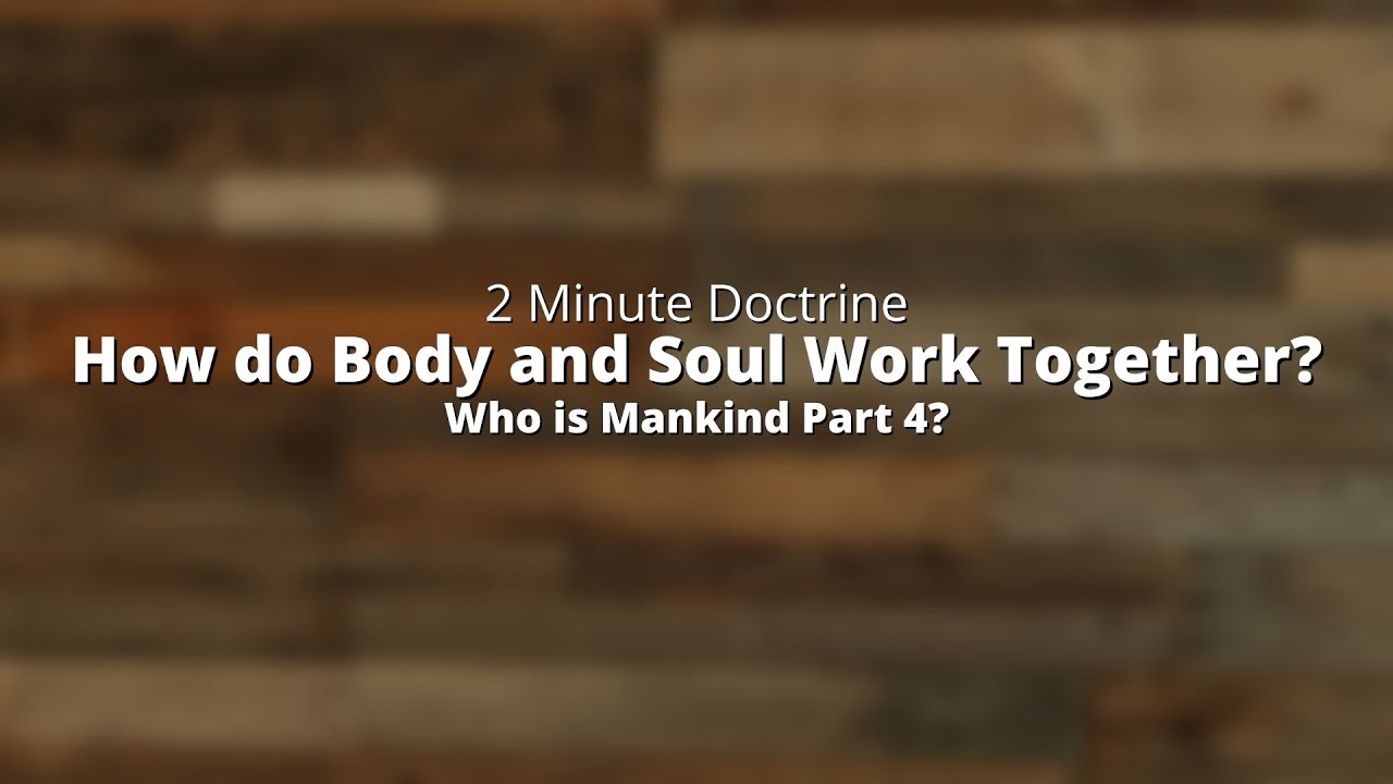 How do Body and Soul Work Together? (Who is Mankind Part 4?) | Two Minute Doctrine