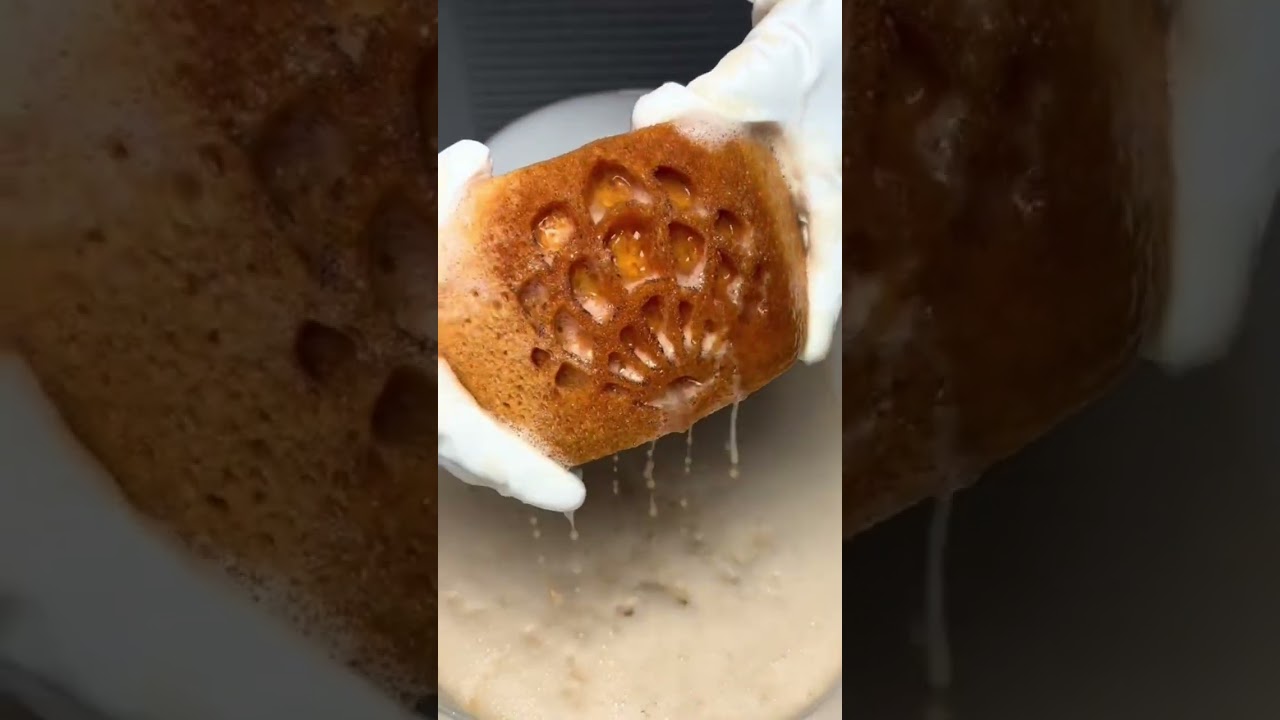 🤎 PINEx3 🤎 Timeframe for the pine rain? Oh, nothing special… Just testing out the new ring