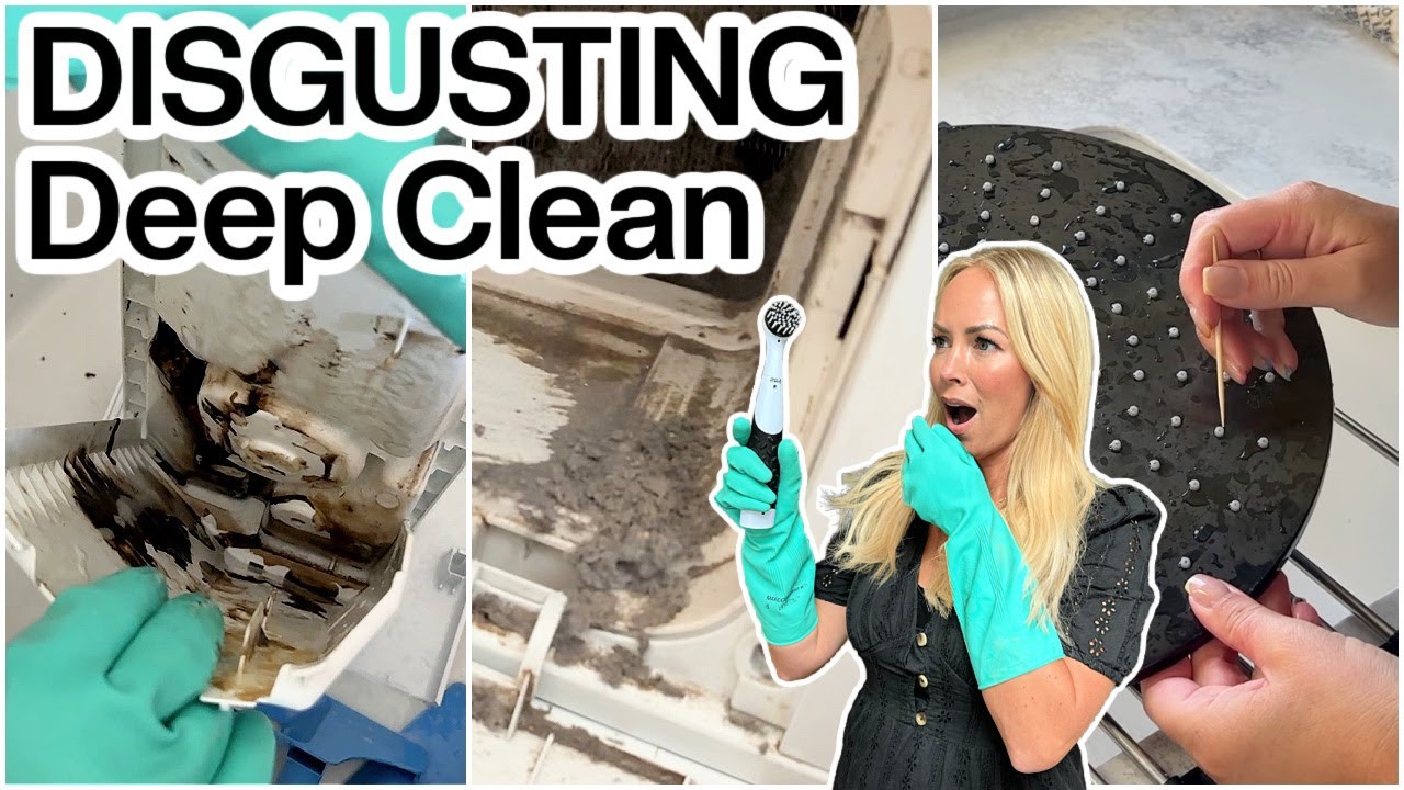 DEEP CLEAN! Things You Should Clean (but probably don't!)