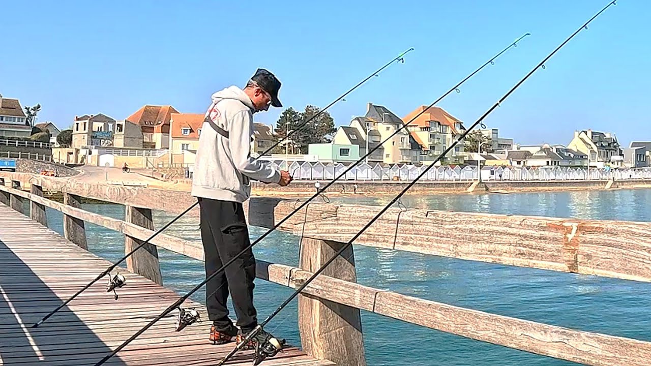 &Eacute;XCIT&Eacute;S les Petits! PECHE en MER du BORD en NORMANDIE #fishing #poissons #fish #fishinglife #bar