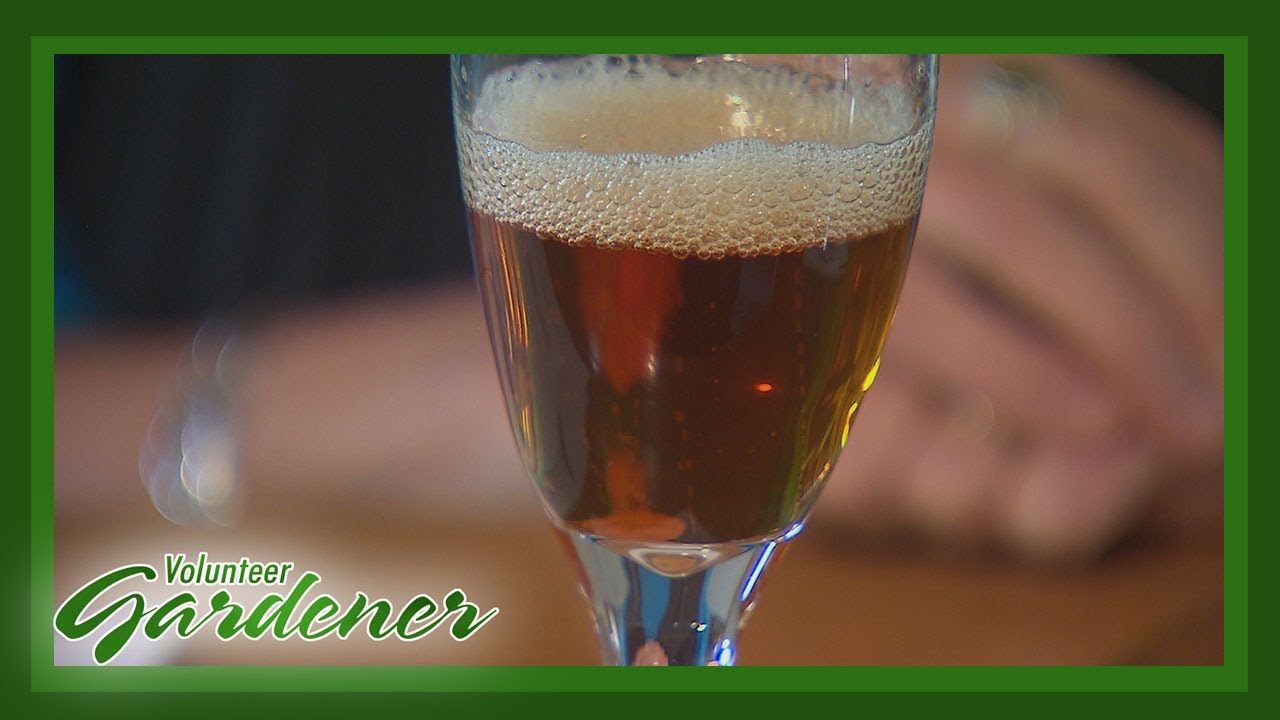 Hand Made Sparkling Strawberry Wine | Volunteer Gardener