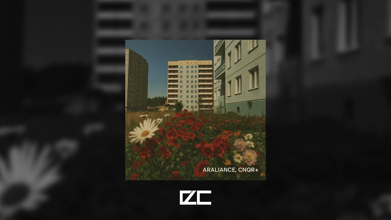 Araliance, CNQR+  -  Memories