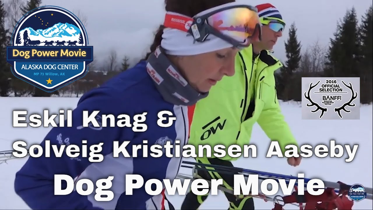 Not Your Average Outtake: Dog Power Movie With Skijor Champion Eskil Knag - The True Cost Revealed