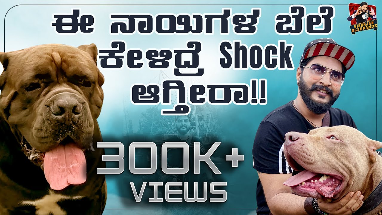 Biggest Dog Show Of Bangalore 2023🐕🐩🐶🐕‍🦺 | Kannada Vlogs | Niranjan Deshpande