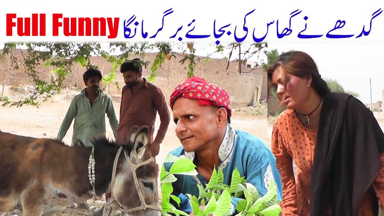 JAIDAD KI LARAI NEW FUNNY 2025 GHAFOORA MUKHO JATTI ZAWAR GHAFOORA FUNNY TV