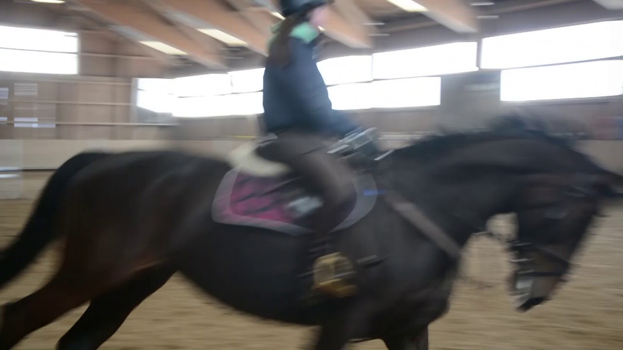 Lea und Coriana Springtraining Folge9 