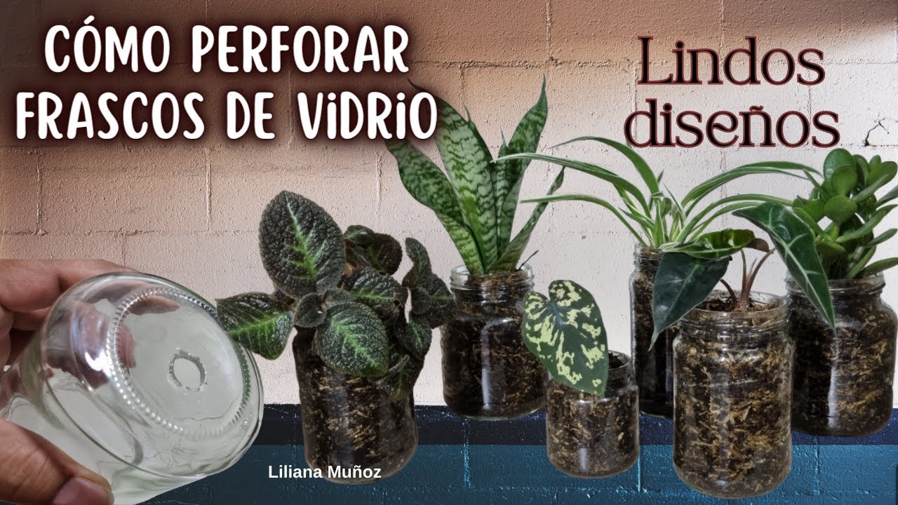 😎CÓMO HACER AGUJEROS A FRASCOS DE VIDRIO Y CONVERTIRLOS EN MACETA facil de hacer/ Liliana Muñoz