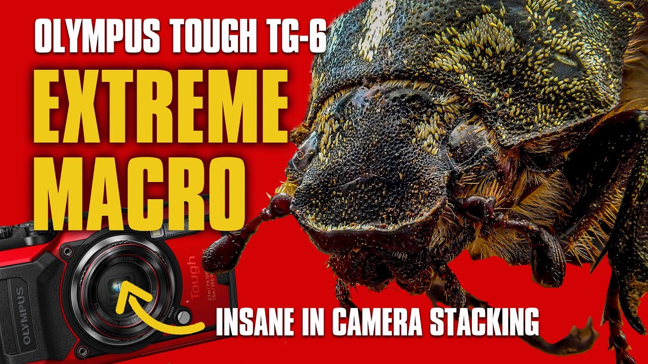 EPIC Macro results! | Olympus tg-6 FOCUS STACKING