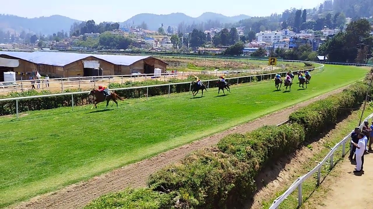 Ooty Race Course,  Horse Race