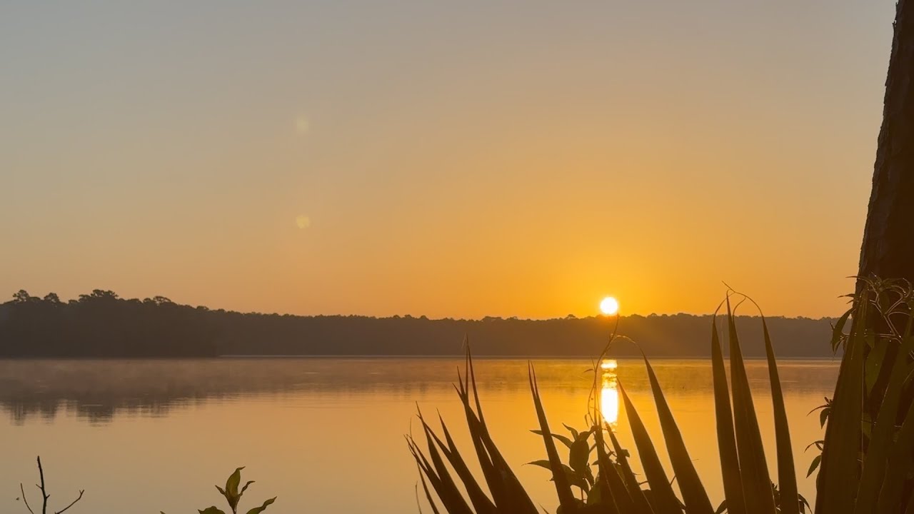 Overnight in Sam Houston National Forest | Couples Camping