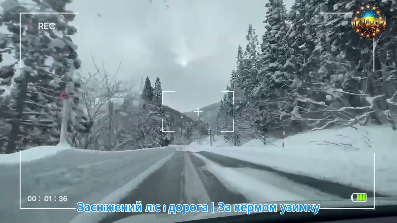 Засніжений ліс і дорога | За кермом узимку