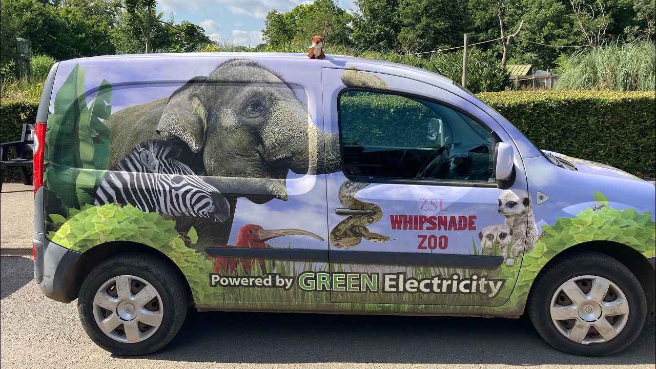 Look 👀 who’s New 🐘🍼at Whipsnade Zoo 🐘 💖