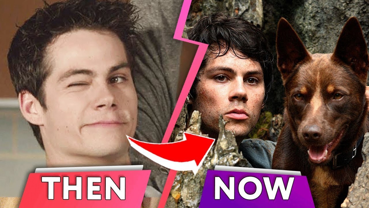 Teen Wolf Cast: Where Are They Now? |⭐ OSSA