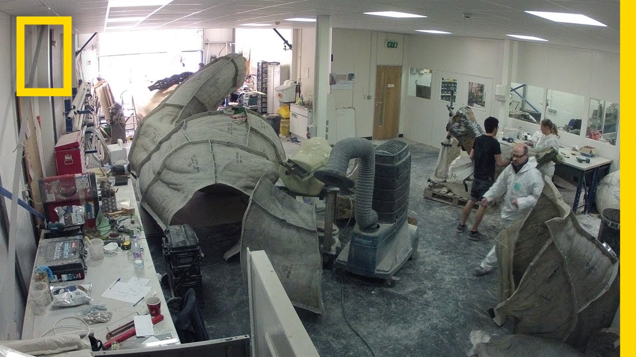 T. rex Timelapse | T.rex Autopsy