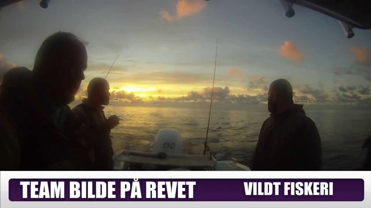 Niels Bilde HAVTASKE P&Aring; 19 KG FRA DET GULE REVET (HD)