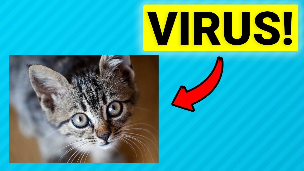 Ocultar VIRUS en una IMAGEN - ¿Es Posible? Mira esta Técnica!