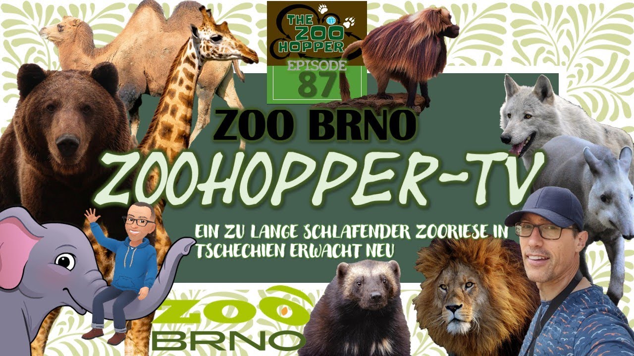 Ein zu lange schlafender Zooriese in Tschechien erwacht neu (Zoohopper-TV Episode 87)