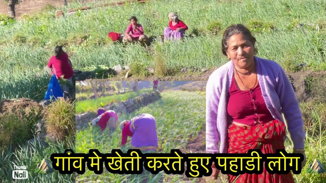 ।। 🧄 गांव मे खेती करते हुए पहाड के लोग 😍।।#uttarakhand #phadilifestyle #dailyvlog #pahadi 