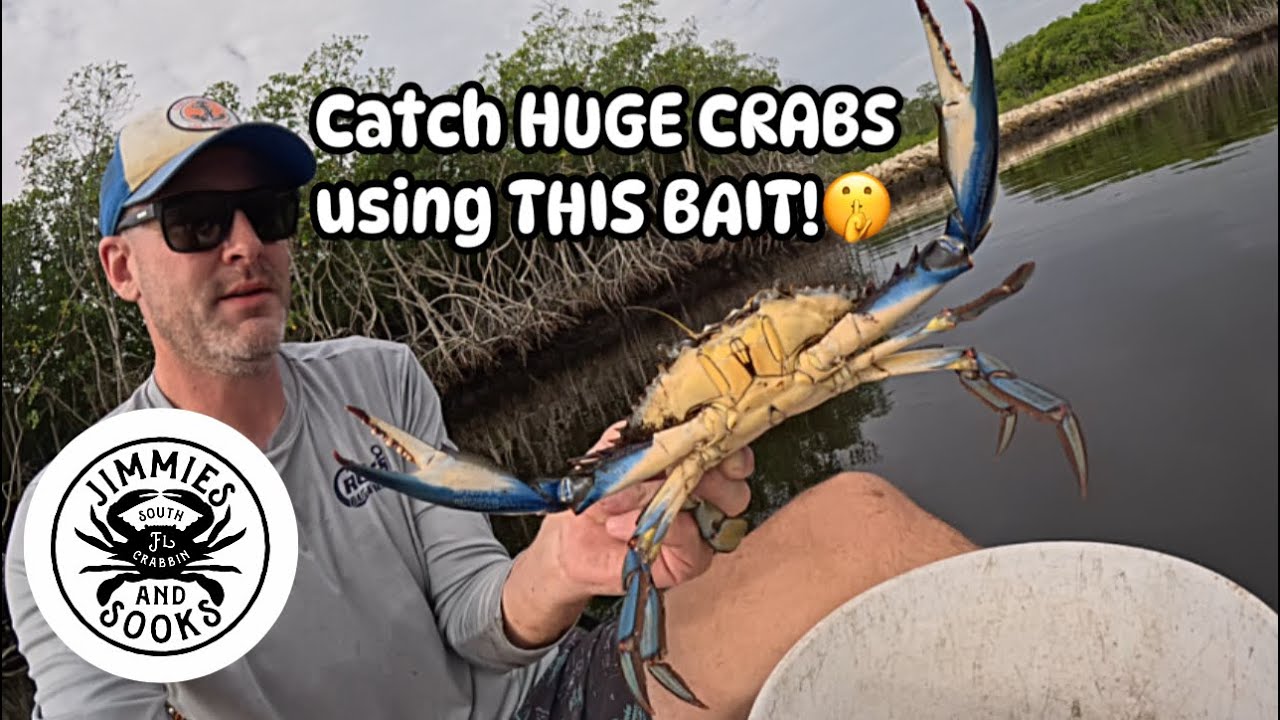 The HUGE CRABS are RUNNING! Testing Baits: Stinky Chicken or Mayan Cichlid, What Caught  BEST?